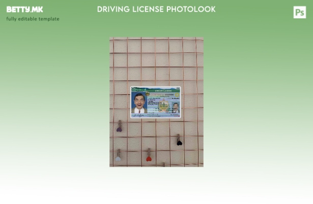 модерен стил USA Vermont DL ( ) photolook FRONT шаблон